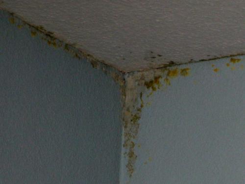 Ремонт потолка из гипсокартона. Причины, по которым нужно прибегать к ремонту