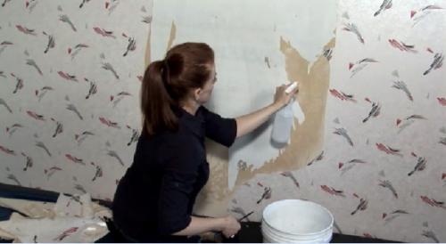 Чем отделать гипсокартон - обзор вариантов