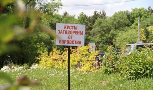 Защита дачи от воров своими руками. 08