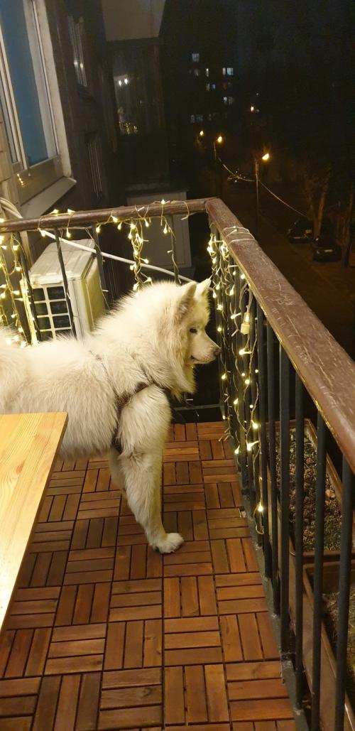 Как заменить старые балконные доски на новые. Как я обновил свой балкон