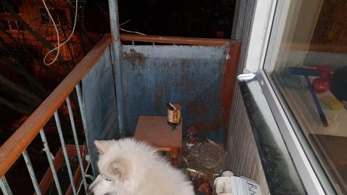 Как заменить старые балконные доски на новые. Как я обновил свой балкон