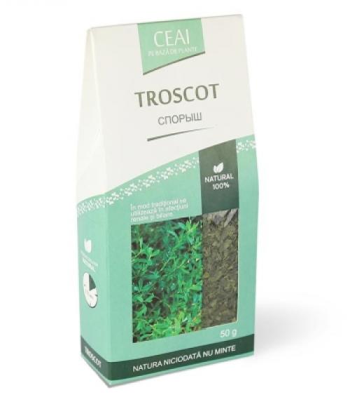 Как используется горца птичьего трава Беласептика в медицине. Спорыш или горец птичий: полезные и лечебные свойства, противопоказания и меры предосторожности