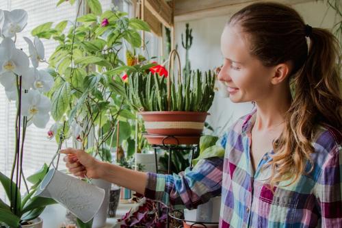 Как выбрать дизайн для отделки лоджии. Как выбрать дизайн лоджии