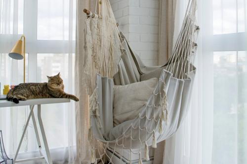 Как выбрать дизайн для отделки лоджии. Как выбрать дизайн лоджии