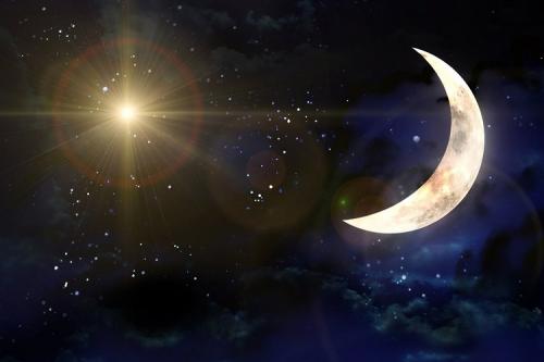 Когда сажать многолетние флоксы на рассаду. Благоприятные дни по лунному календарю в каждом месяце 2023 года