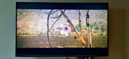 Какая из этих ват более эффективна в плане энергосбережения. Что в квартире больше всего «мотает» свет, и как снизить расходы на электроэнергию
