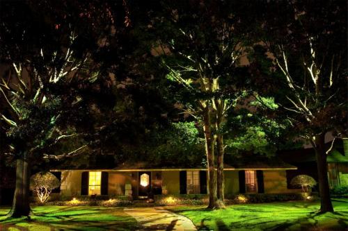 Сажаем саженцы плодовых деревьев: лучшие практики и рекомендации 19