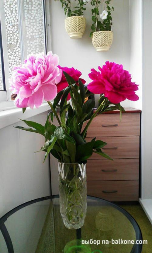 Как обустроить балкон внутри по простому и дешево. 54 фото отделки лоджии. Идеи для вдохновения