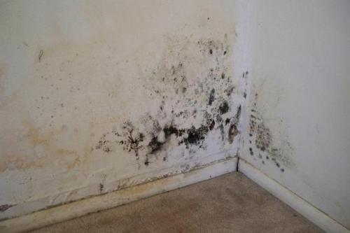 Как положить плитку в ванне. Какая плитка для ванной подойдет на стены и пол, инструменты 15 Как положить плитку в ванне. Какая плитка для ванной подойдет на стены и пол, инструменты 15