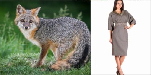 Светло-серый цвет сочетание. Кому подходит