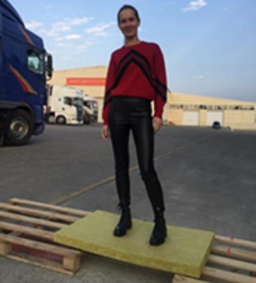 Базальтовая вата или минвата. Что лучше: базальтовая плита или минеральная вата? 04