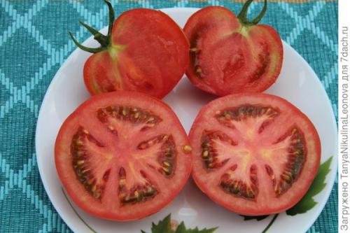 Томат президент. Президент в теплице рулит, или Классика томатного жанра...