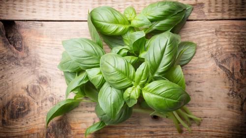 Базилик к мясу. Куда добавляют свежий базилик