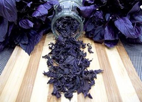 Куда можно добавлять базилик фиолетовый. Применение в лечебных целях 04