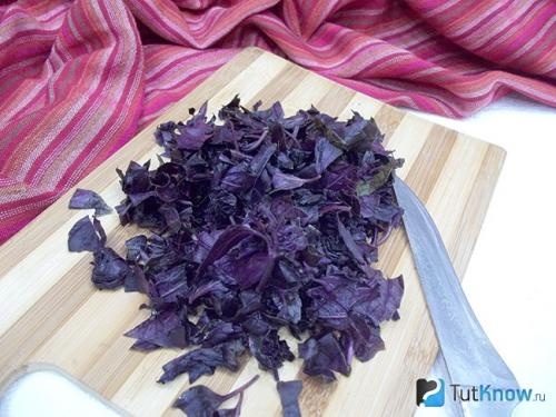 Куда можно добавлять базилик фиолетовый. Применение в лечебных целях 02