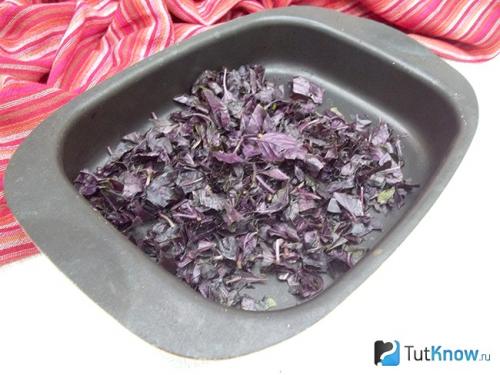 Куда можно добавлять базилик фиолетовый. Применение в лечебных целях 03