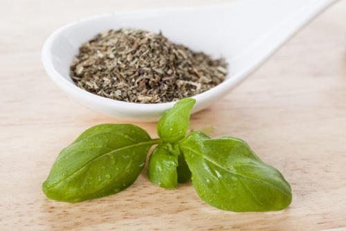 Как заготовить базилик впрок. Как заготовить базилик на зиму — рецепты