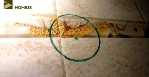 Как правильно установить пластиковые панели на стены ванной комнаты. Начало работ: материал для фиксации