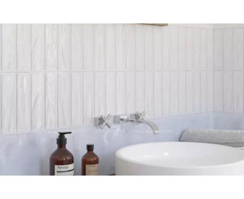 Есть ли особенности обшивки стен в ванной комнате по сравнению с другими помещениями. Как создать идеальный санузел: самые интересные идеи