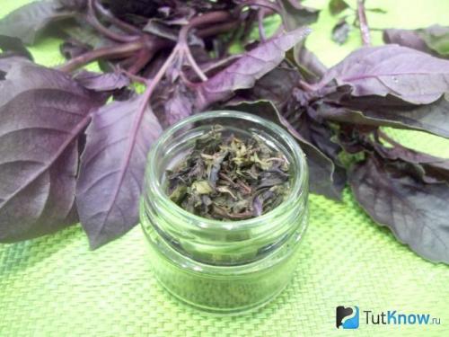 Как можно использовать стебли базилика. Что нужно знать о специи? 10 Как можно использовать стебли базилика. Что нужно знать о специи? 10