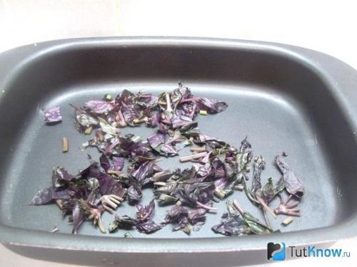 Как можно использовать стебли базилика. Что нужно знать о специи? 11 Как можно использовать стебли базилика. Что нужно знать о специи? 11