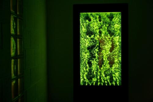 Как удалить воздушные пузырьки из-под панелей ПВХ после монтажа. Чем промывать воздушно-пузырьковую панель