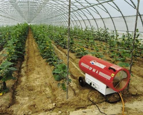 Отопление теплицы своими руками. Отопление теплицы: способы