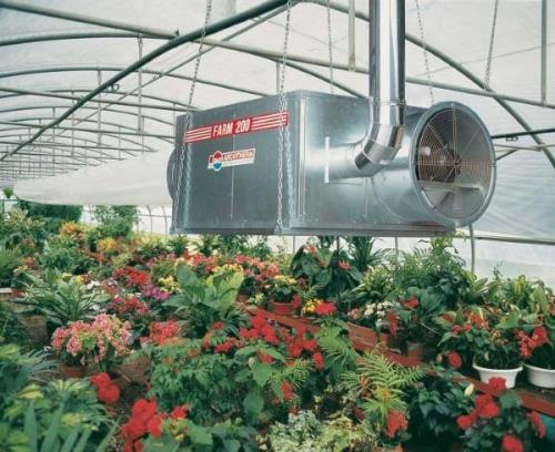 Отопление теплицы своими руками. Отопление теплицы: способы