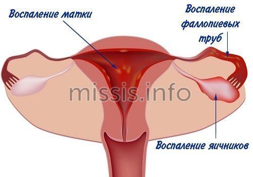 8 правил сохранения здоровья влагалища.  Как изменяется флора в течение жизни? 01 8 правил сохранения здоровья влагалища.  Как изменяется флора в течение жизни? 01