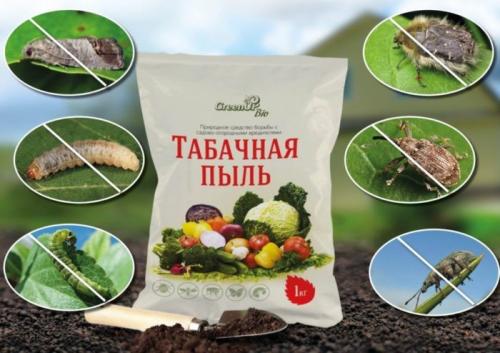 Можно ли комбинировать смесь золы и табачной пыли с другими натуральными средствами для повышения эффективности. Опрыскивание растений